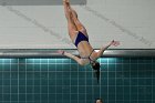 Women's Diving  Wheaton College Women’s Diving vs Mount Holyoke College. - Photo by Keith Nordstrom : Wheaton, Swimming & Diving